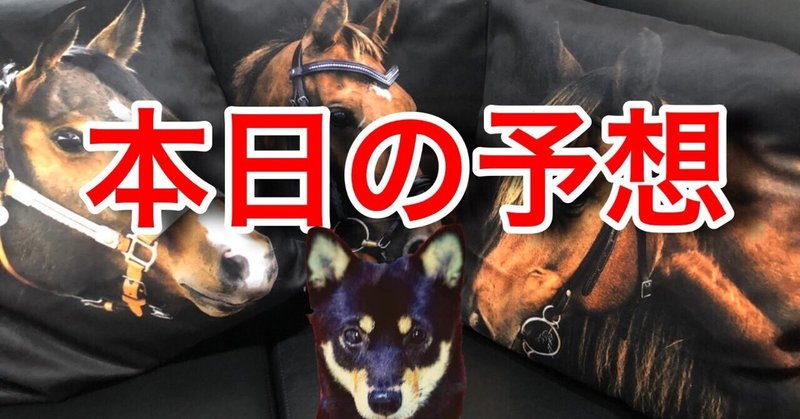 東京シティ競馬 Tokyo City Keiba