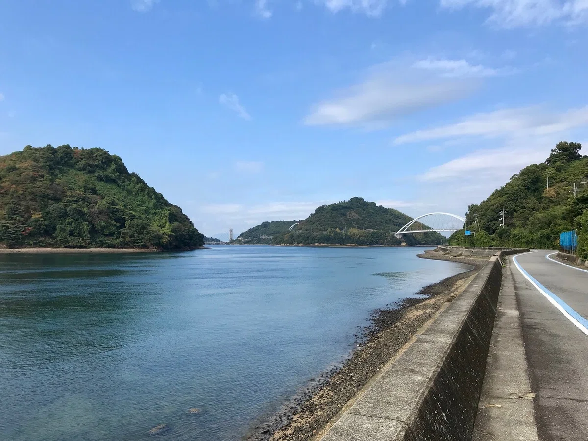 画像5