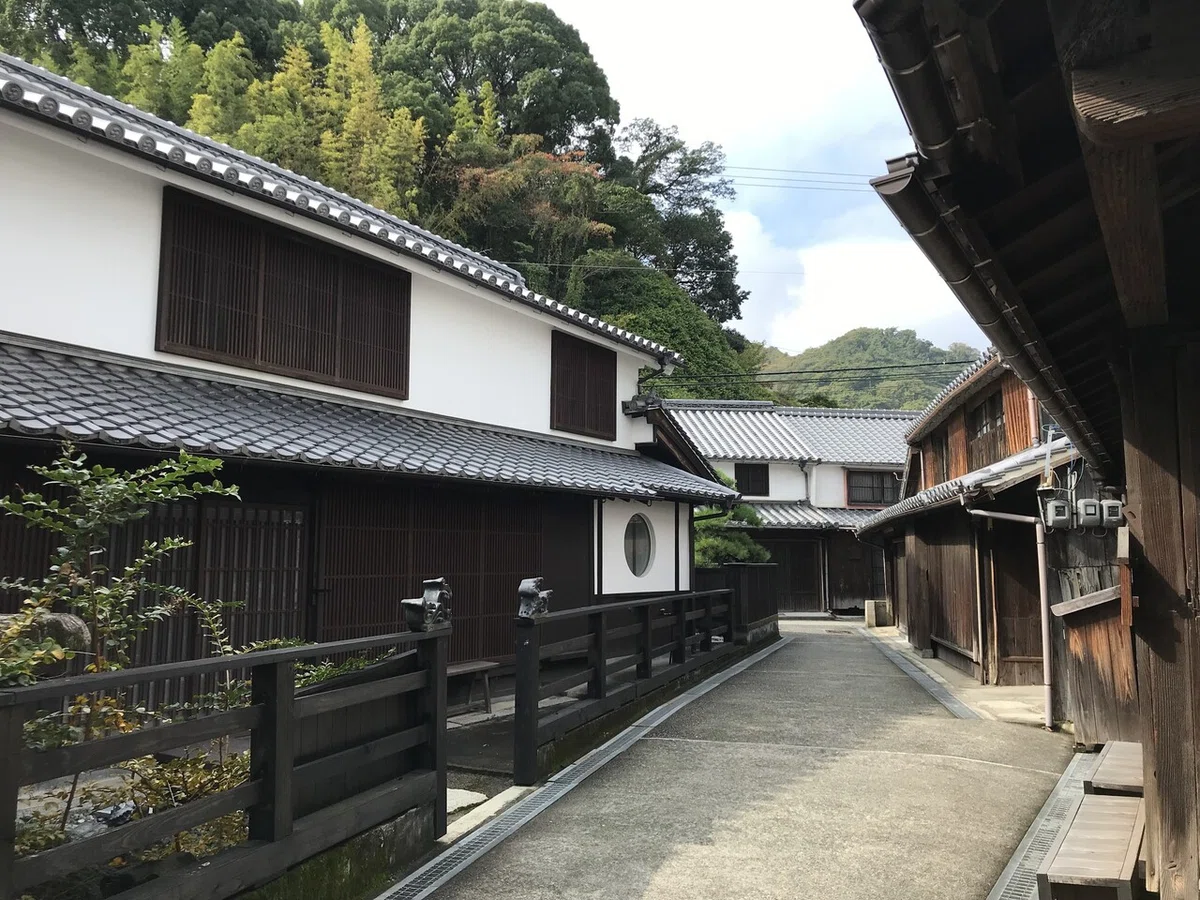 画像7