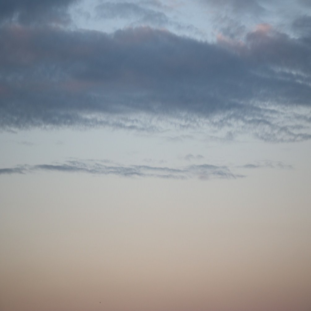 Wikipediaの画像は著作権フリーではない 富岡那恵 Note