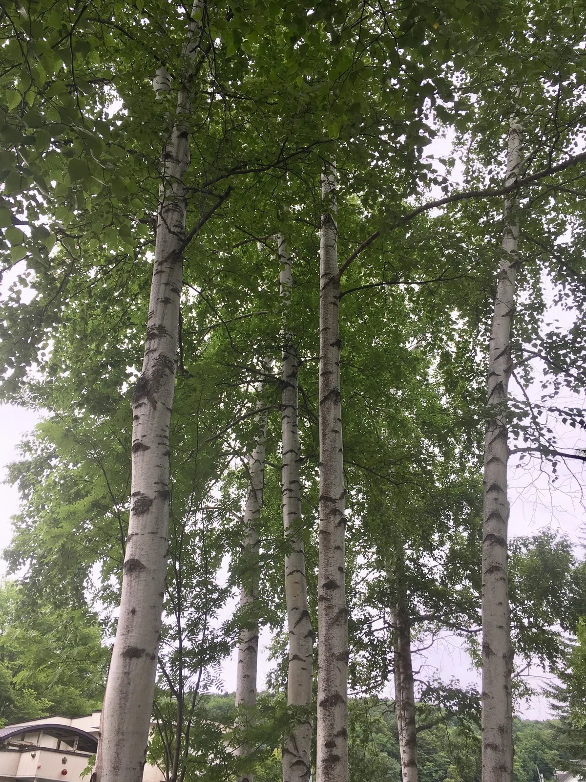 画像16