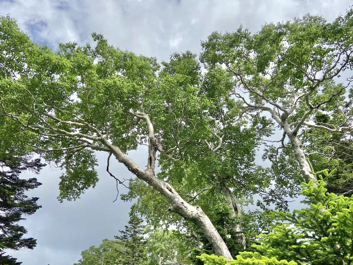 画像18