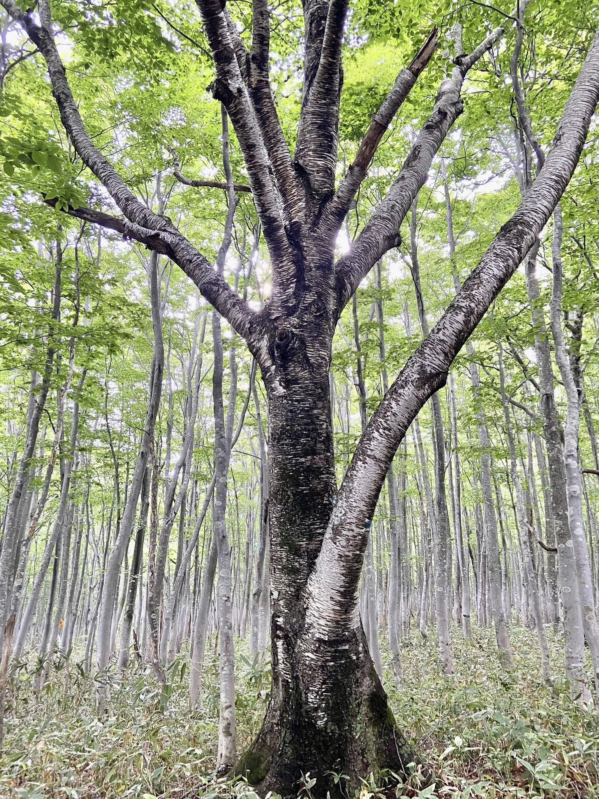 画像20