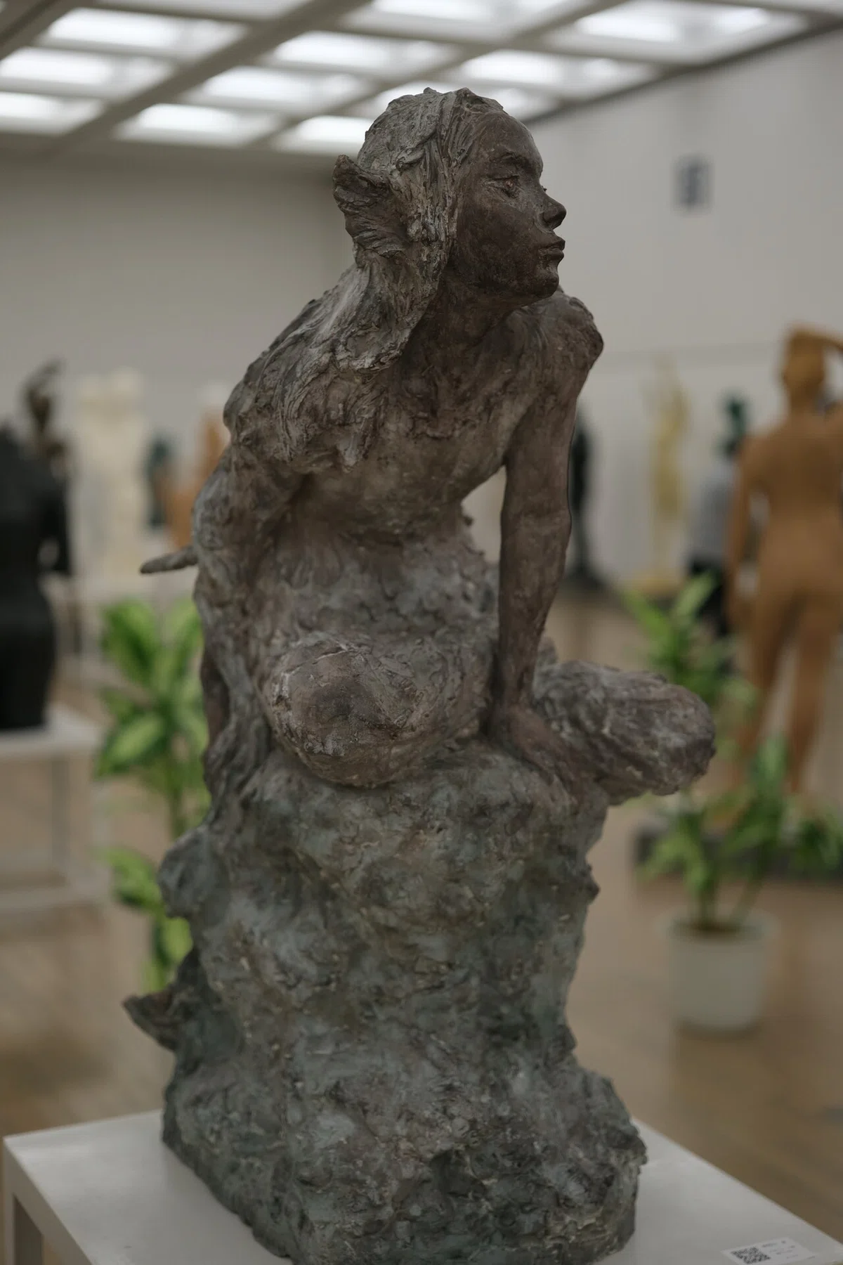 画像15