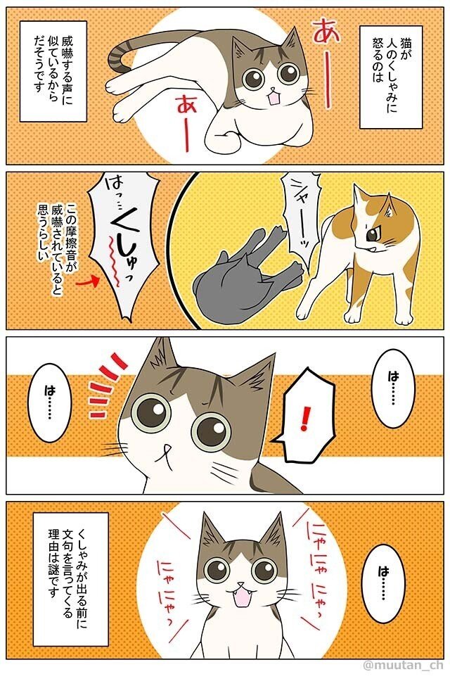 猫がくしゃみで怒る理由 むーたん漫画エッセイ Note