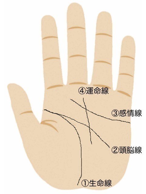 無料手相道場 語呂で覚える手相の基本４線 Palmistry Base Note