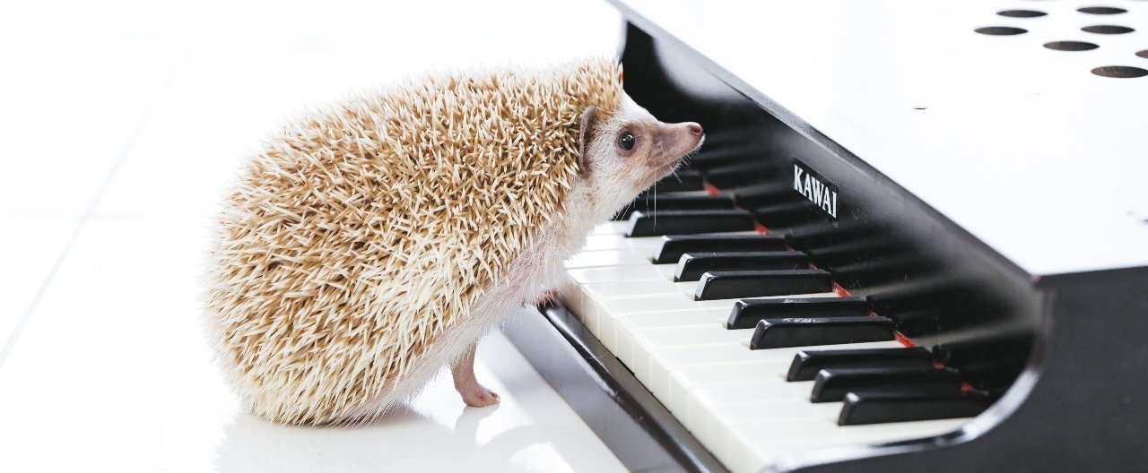 クロード ドビュッシー 亜麻色の髪の乙女 1日1曲紹介 Yuri Keypf Note