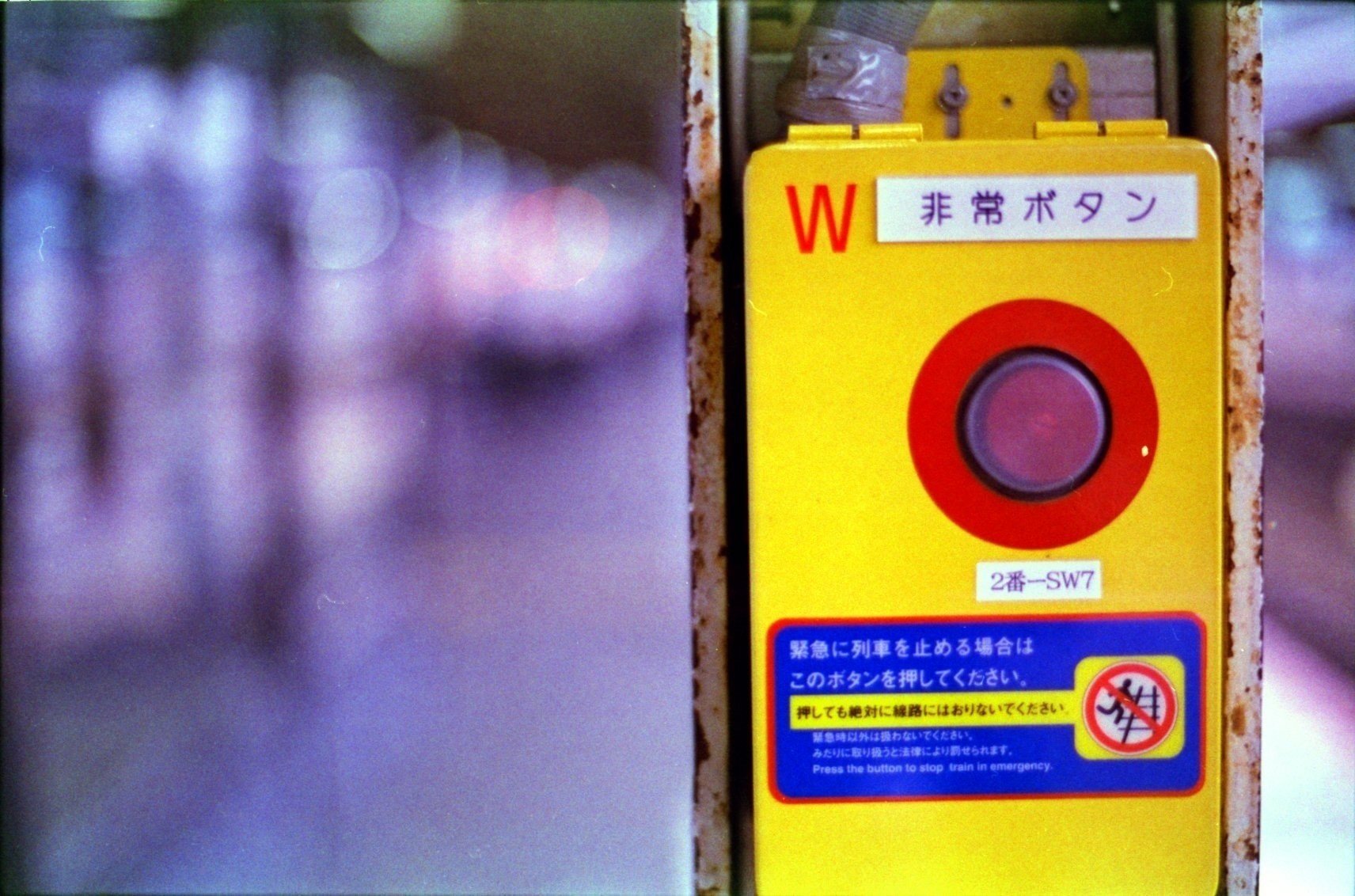 ヨドバシカメラでネガをプリントしてもらった話 櫻井貫大 Note