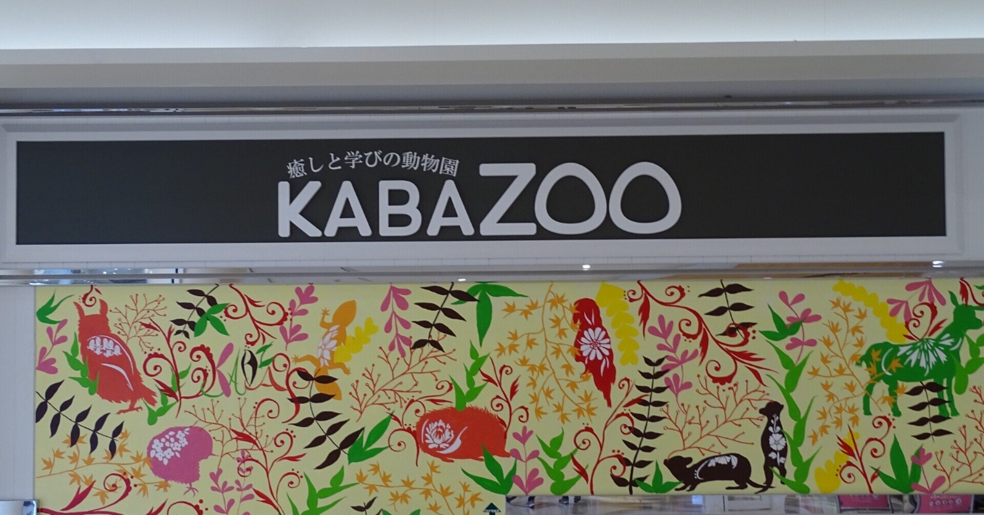 ZASO:079】千葉県 #KABAZOO｜ZASOちゃんねる