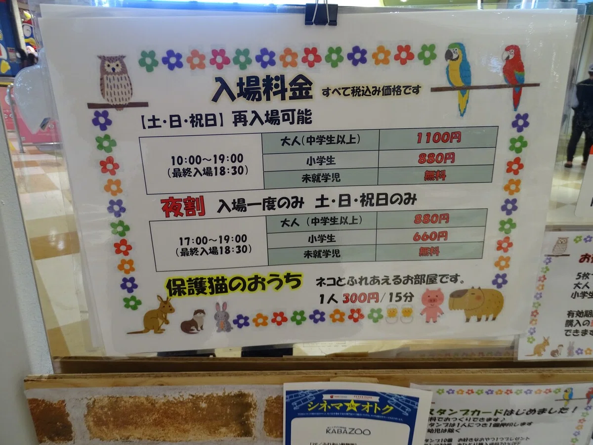 画像11