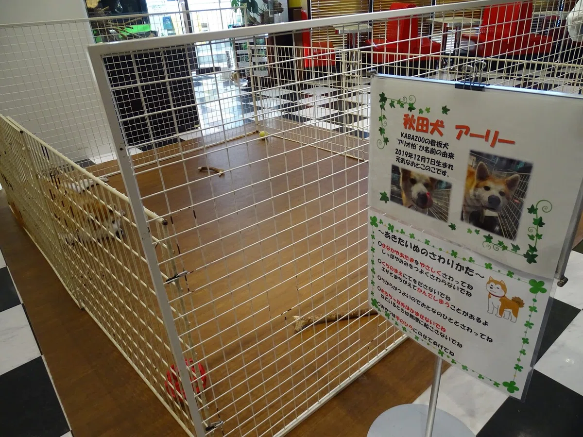 画像12