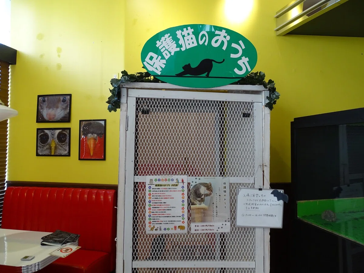 画像17