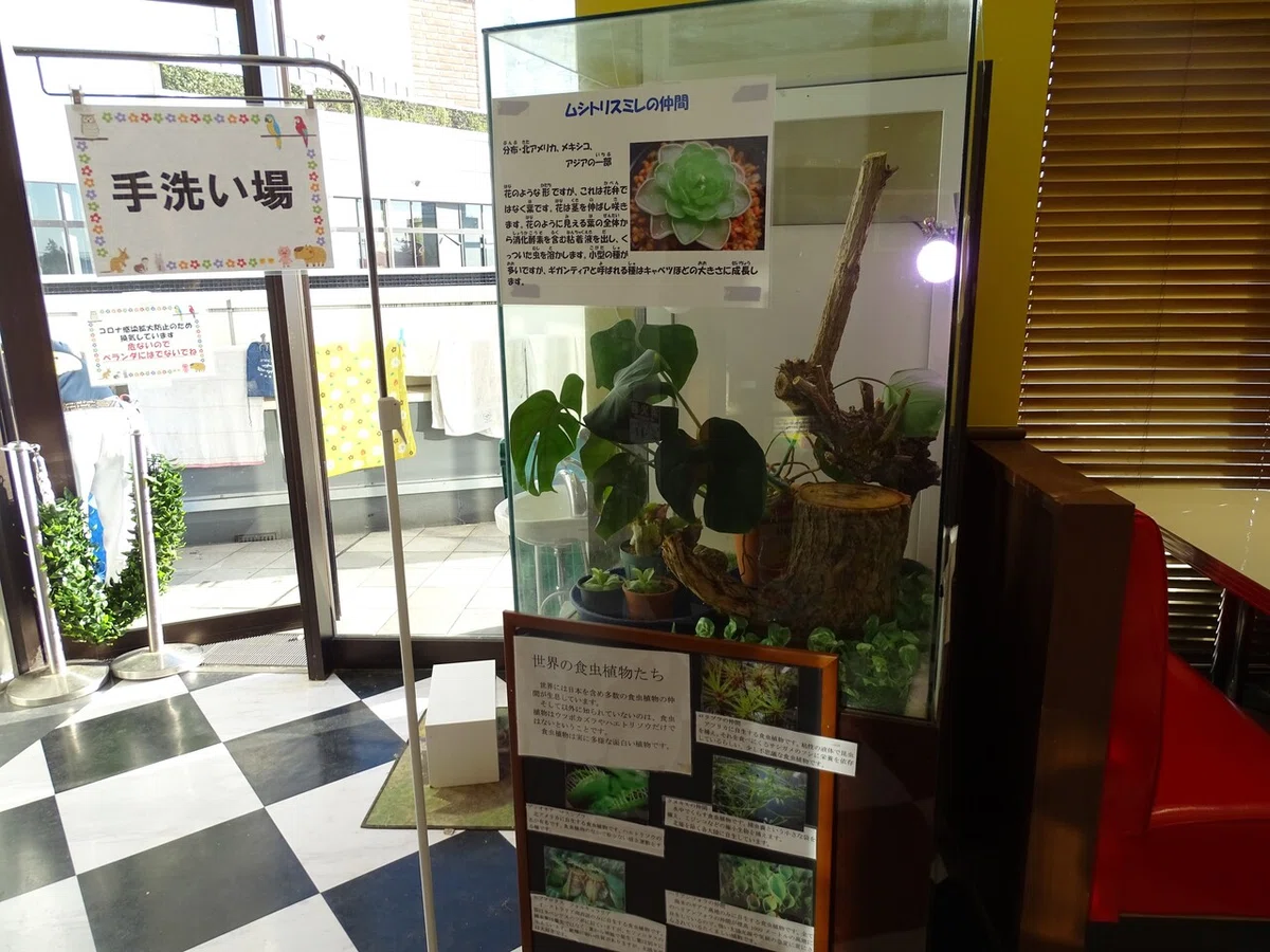 画像29