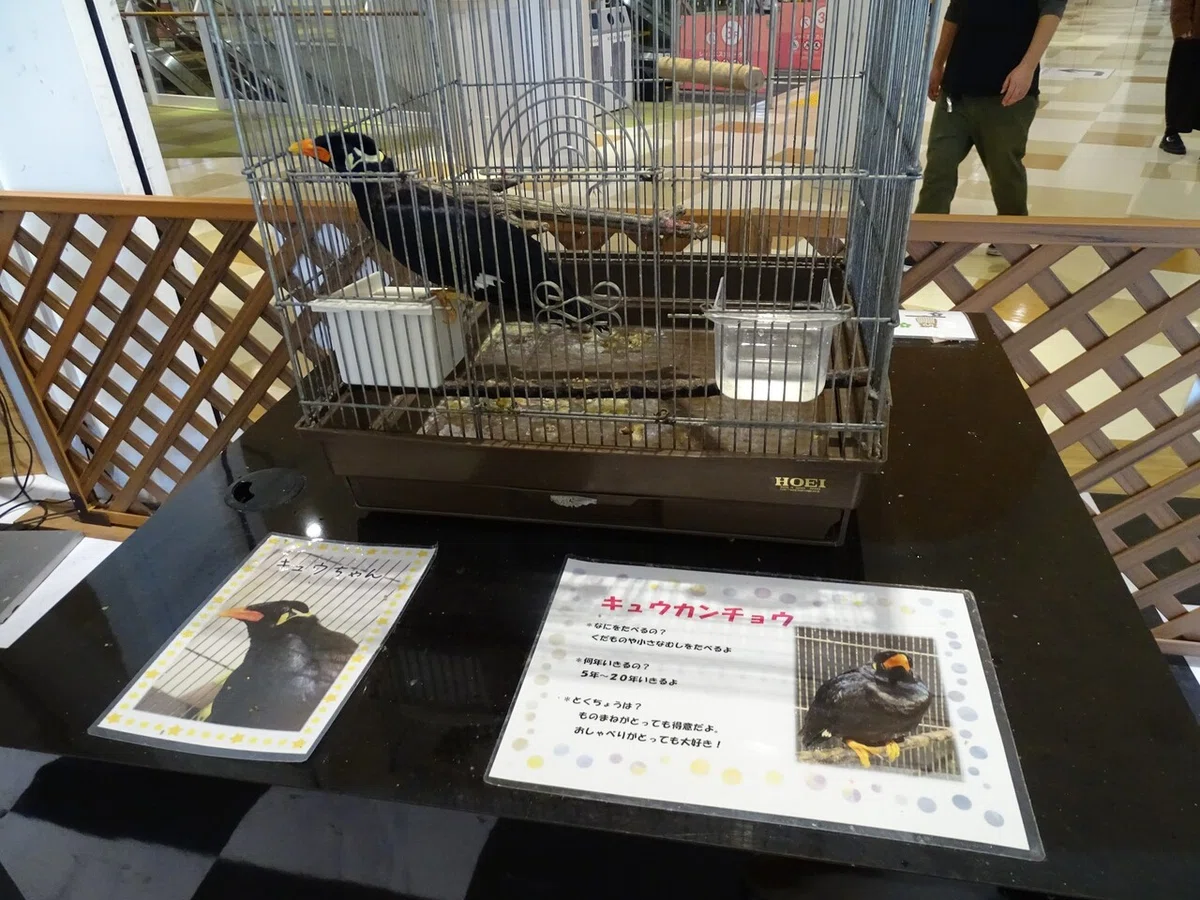 画像33