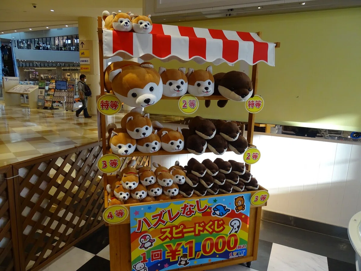 画像32