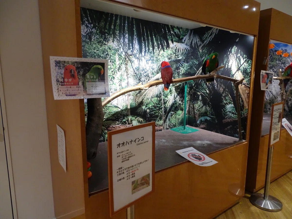 画像47