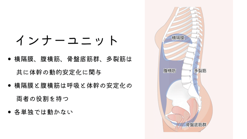 画像14