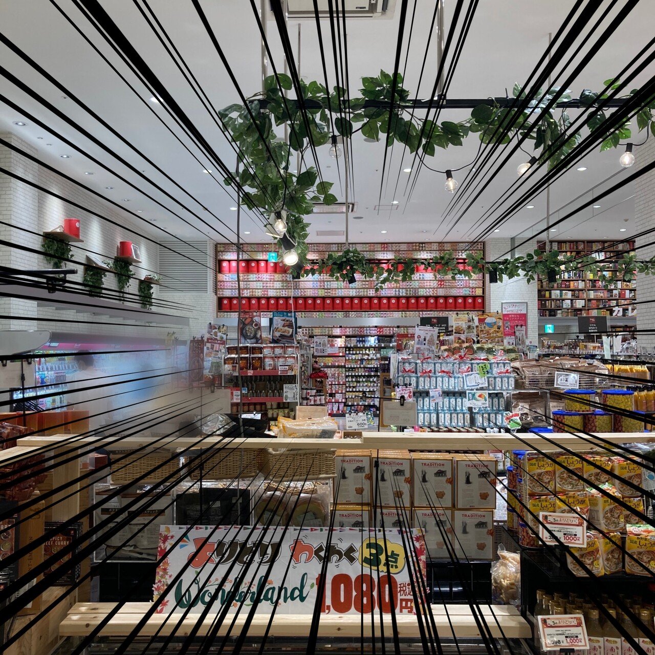 レヂボン RSA1806-36 スーパーエース50枚③【野田愛宕店】【店頭取引限定】【未使用】ITF96NRGUXH1 ラブパク取扱店に行ってみた】北野エース〜名古屋スペシャル