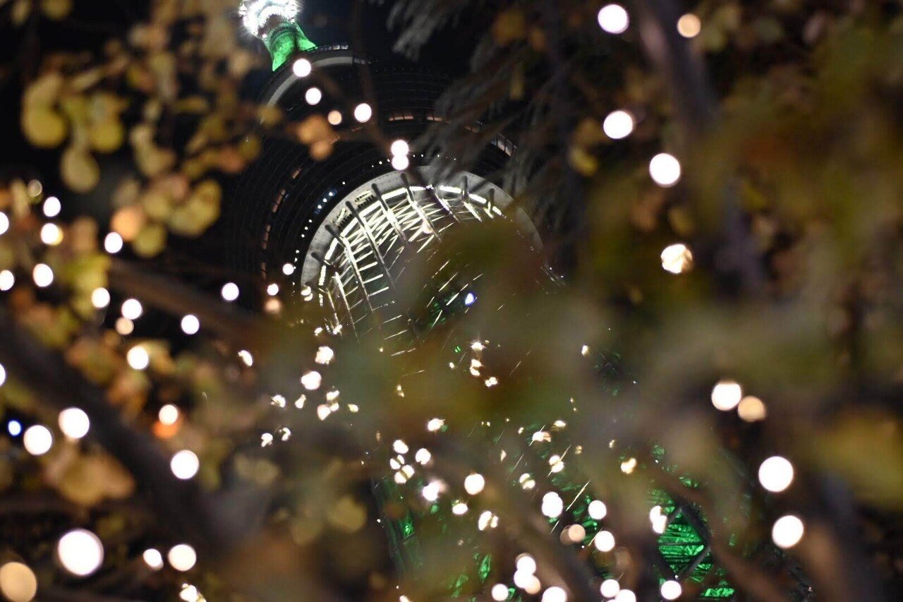 【作例あり】Nikon AF MICRO NIKKOR 60mmm f2.8D Nikon（ニコン） Ai AF Micro-Nikkor 60mm f/2.8D 実写レビュー