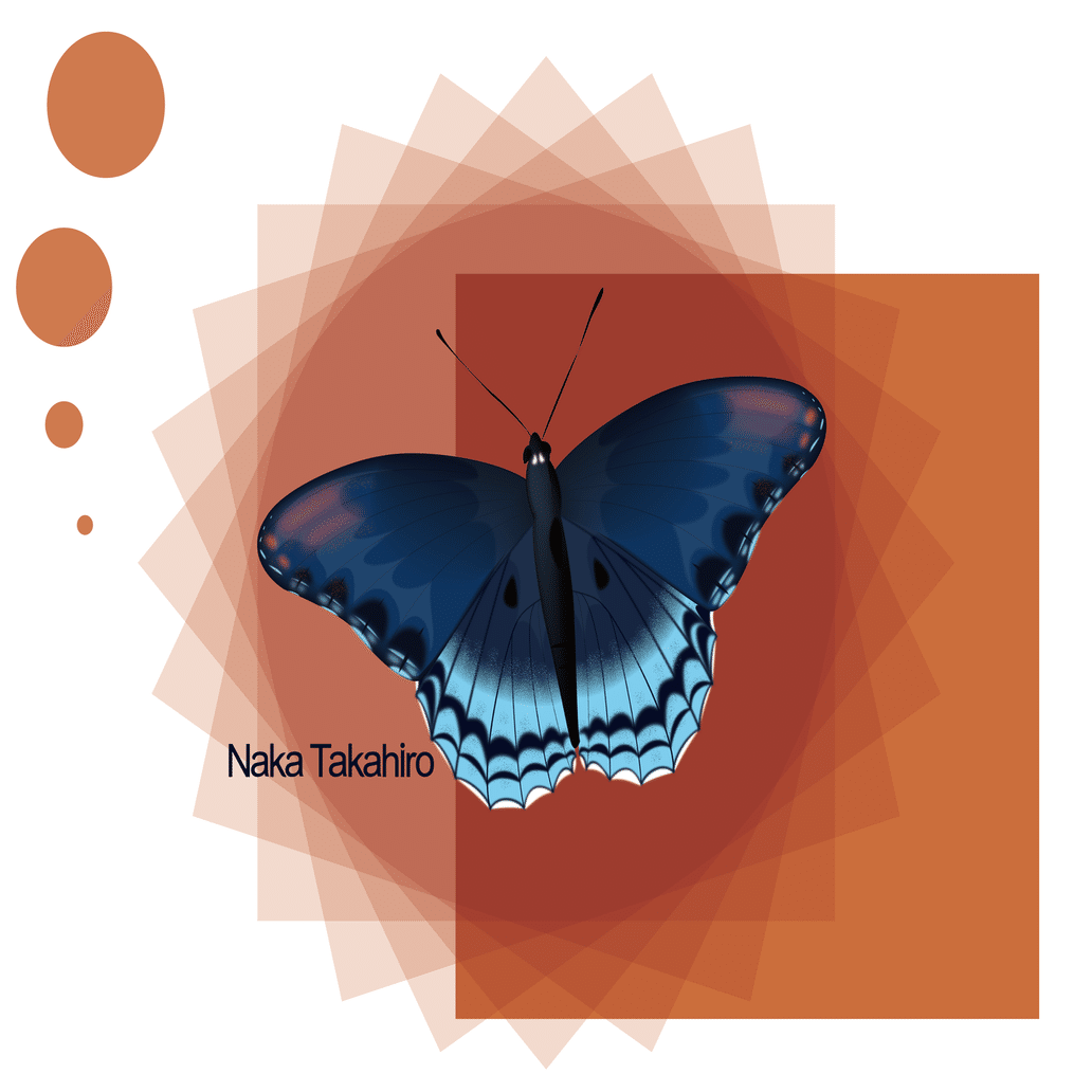 蝶のイラスト｜仲 高宏