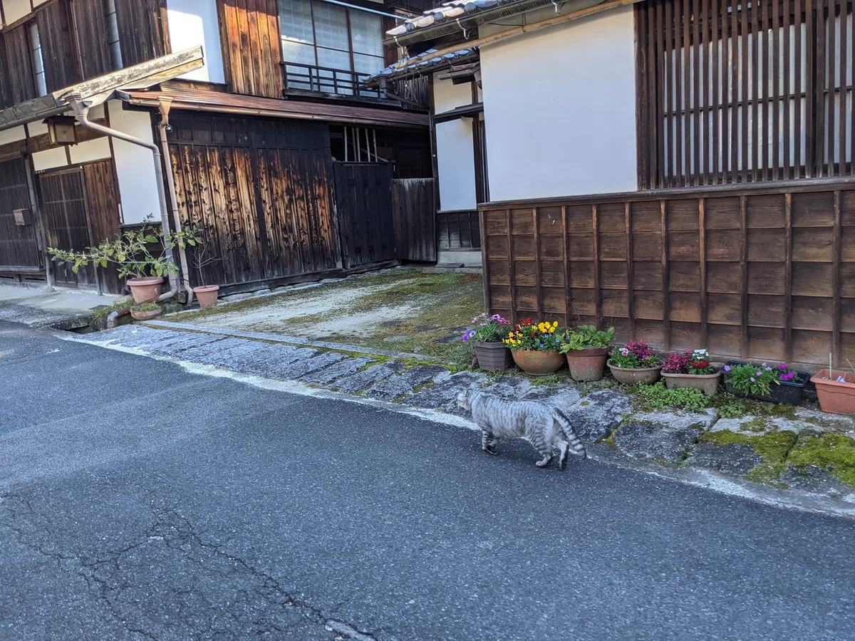 画像5