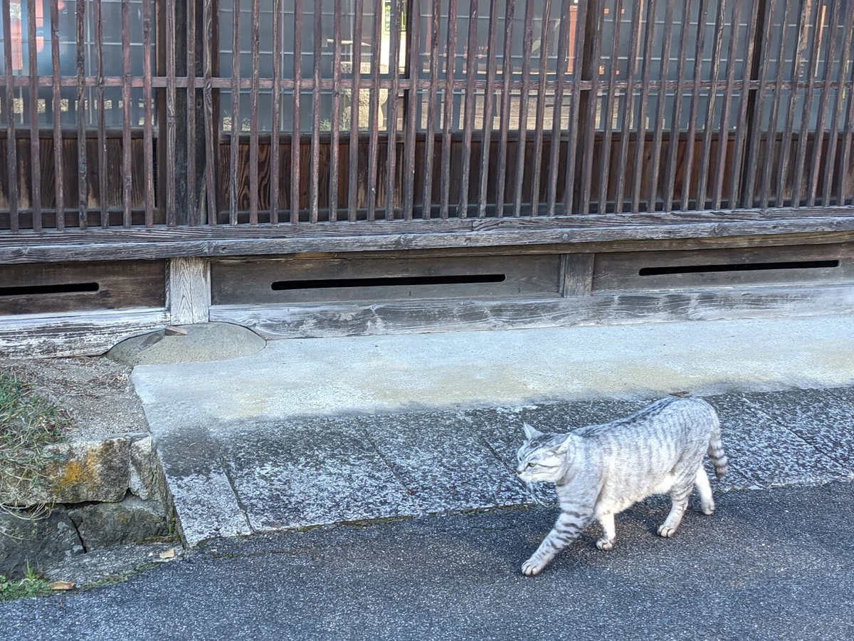 画像6