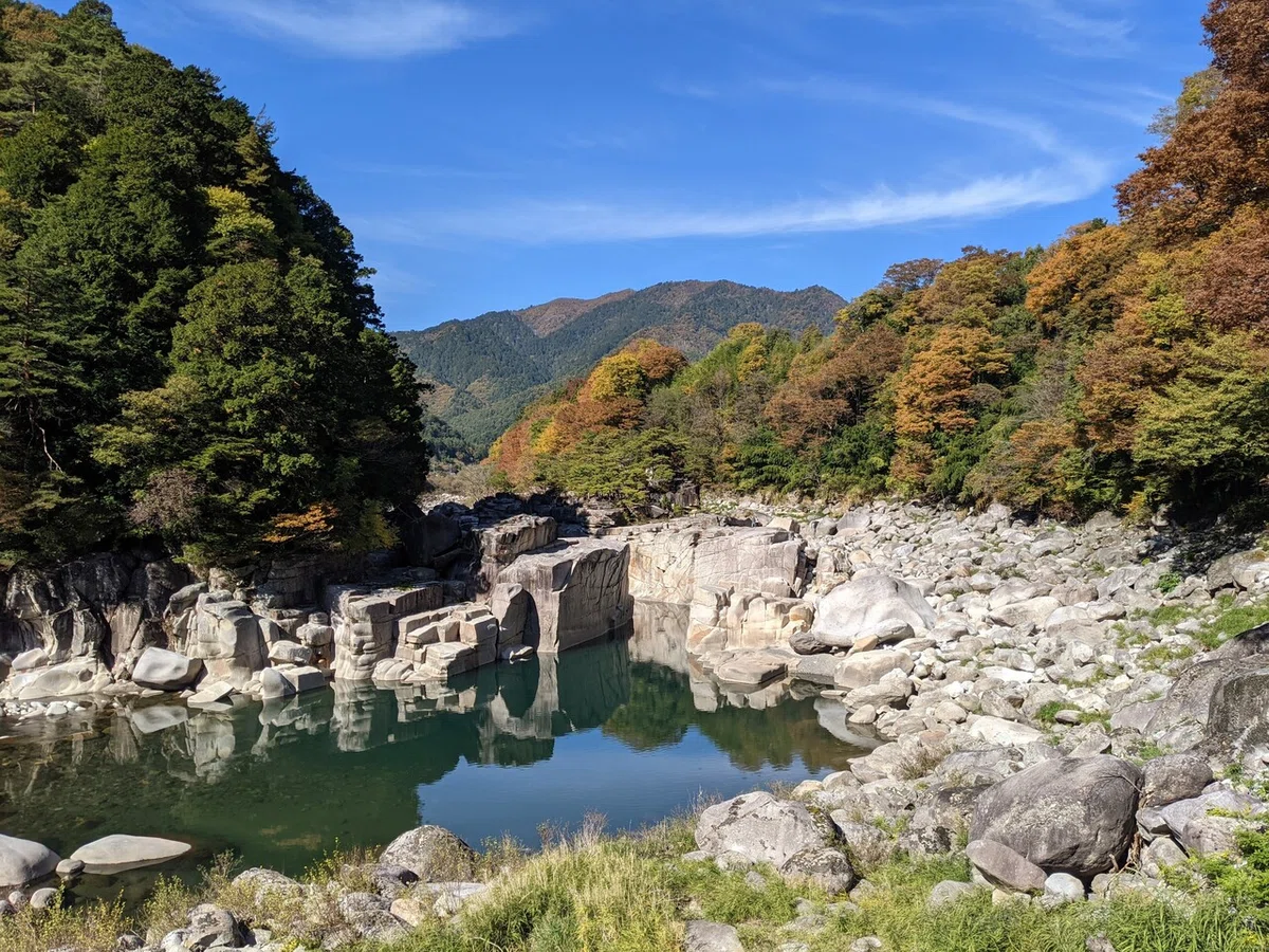画像4