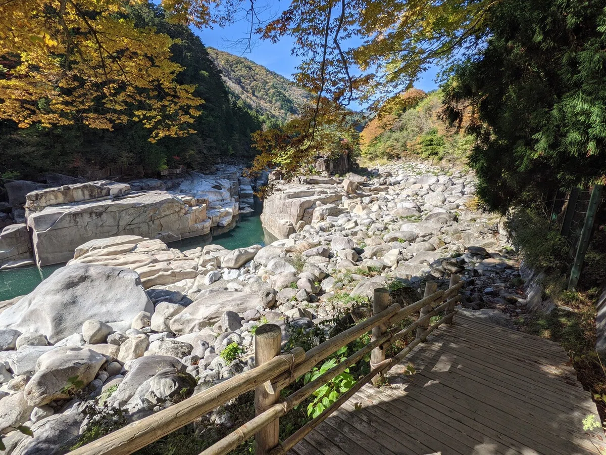 画像6