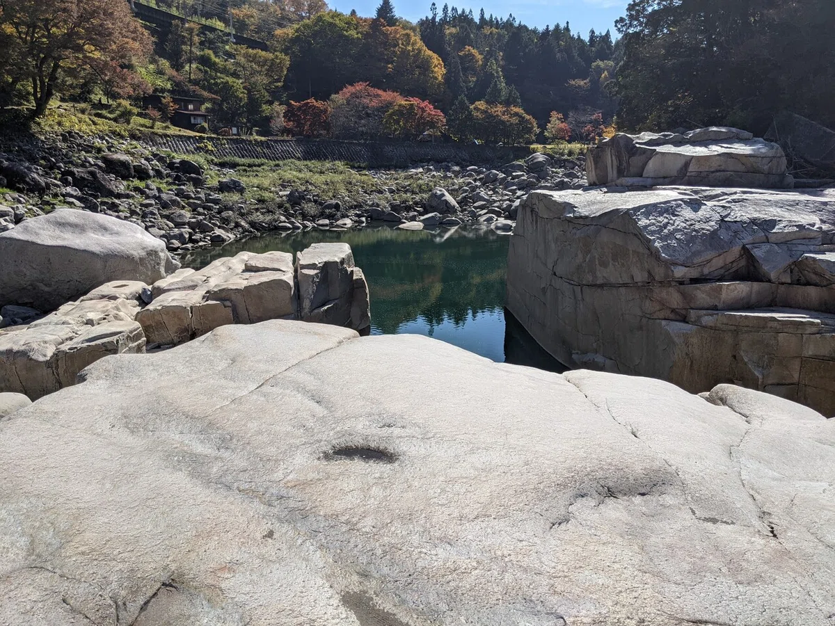 画像8