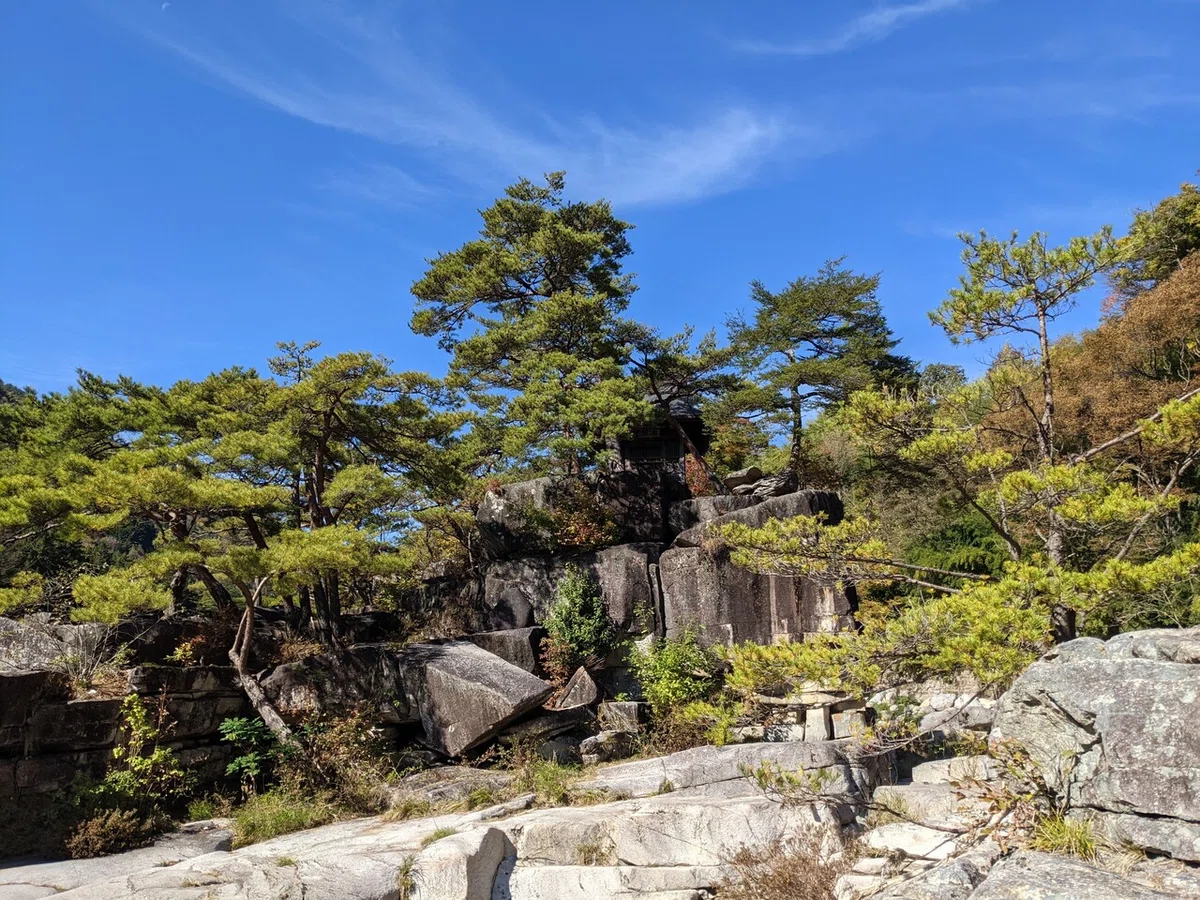 画像11
