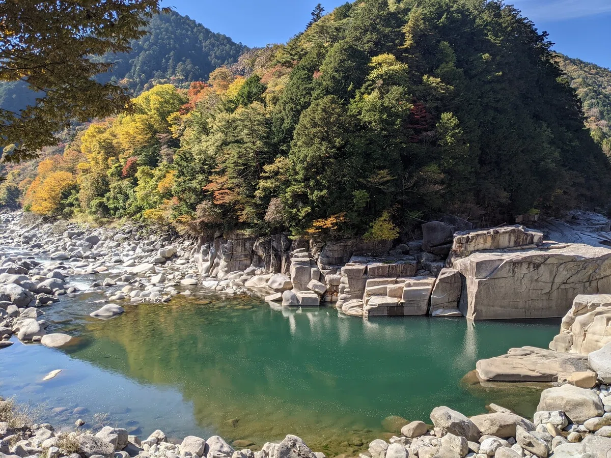 画像15