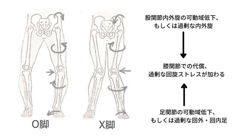 足関節の可動域低下、 もしくは過剰な回外・回内足