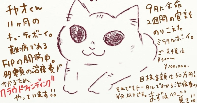 猫伝染性腹膜炎 の新着タグ記事一覧 Note つくる つながる とどける