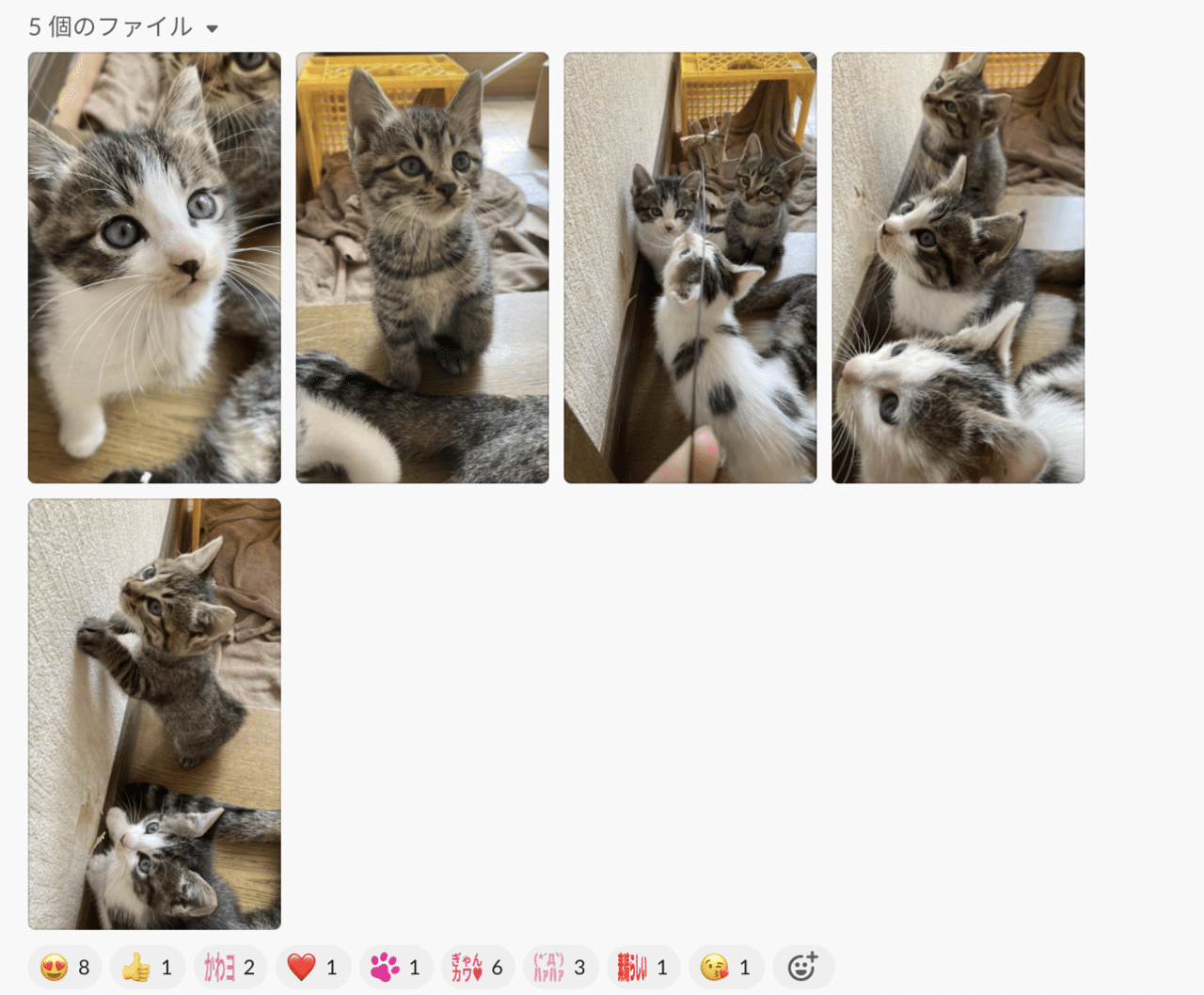 Slackのチャンネルを色々眺めてみた コープさっぽろdx Slackのチャンネルを色々眺めてみた コープさっぽろdx