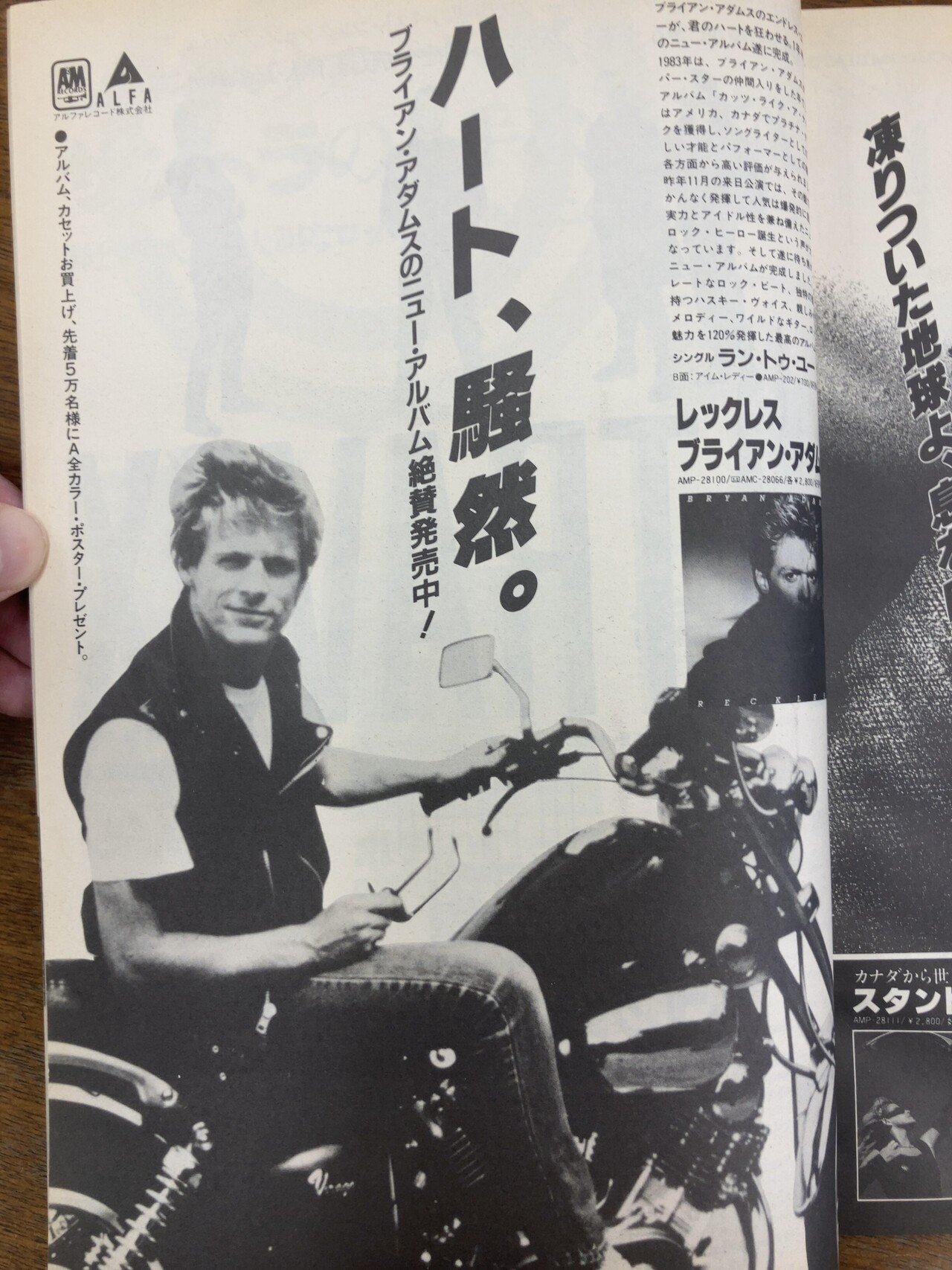 レコード】Bryan Adams / Reckless(1984 US:1 UK:7)｜マサ