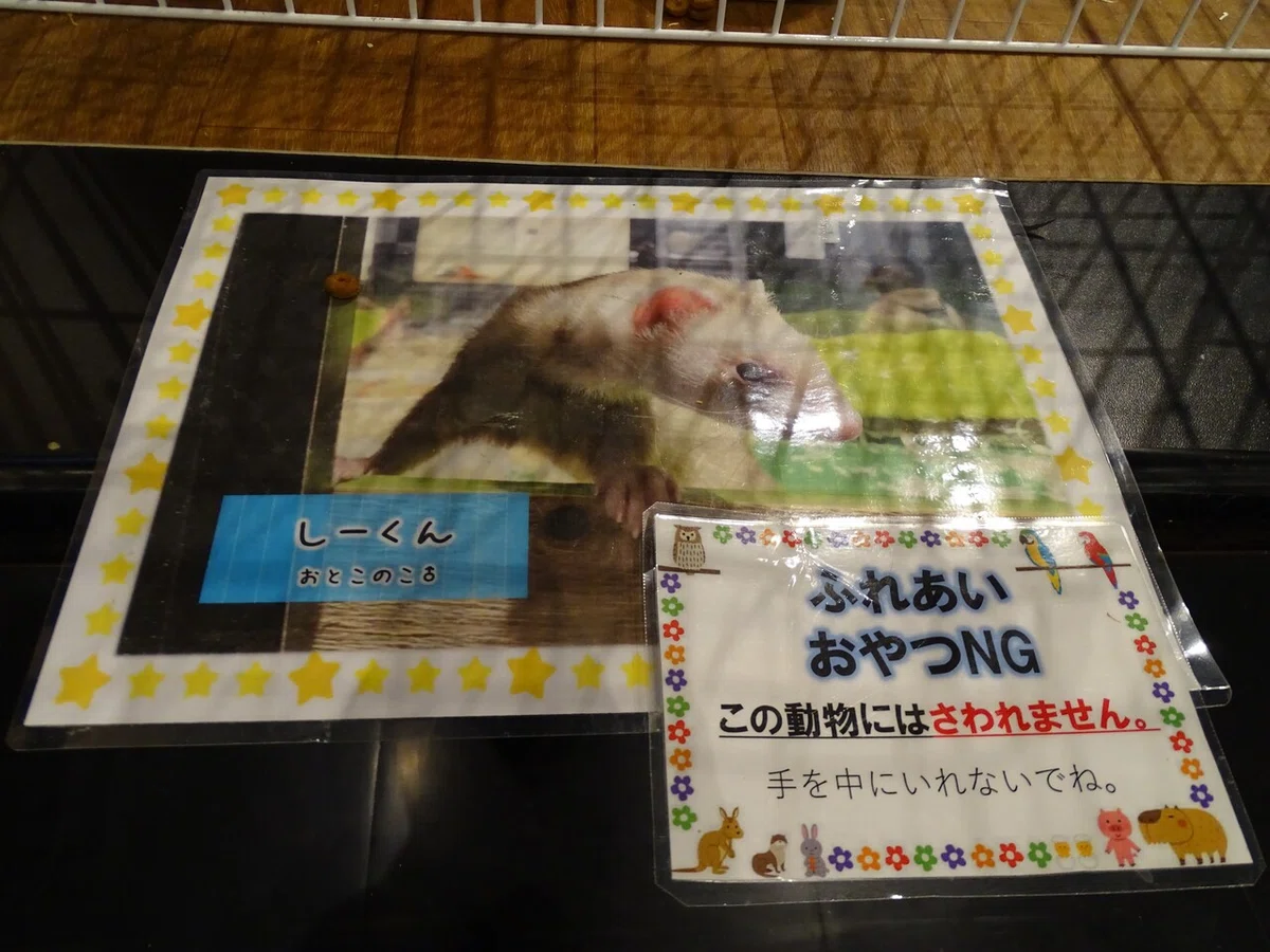 画像56
