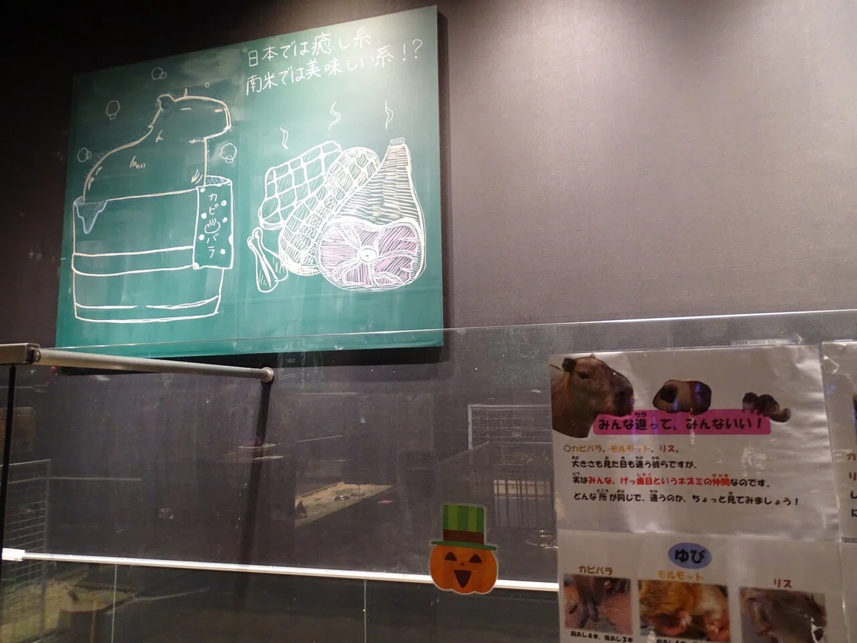 画像80