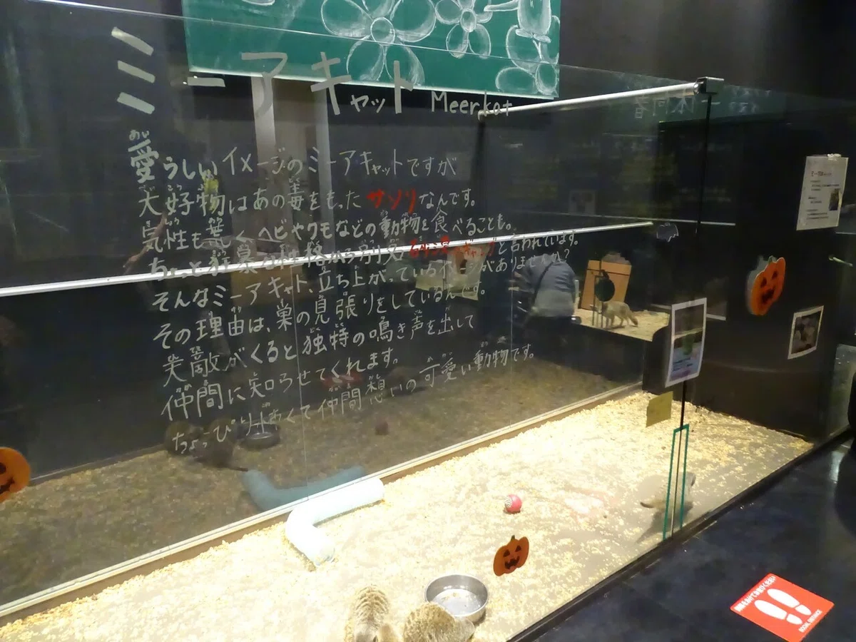 画像59