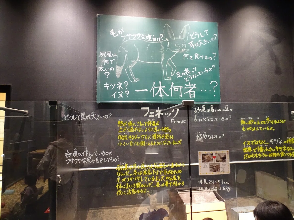 画像63