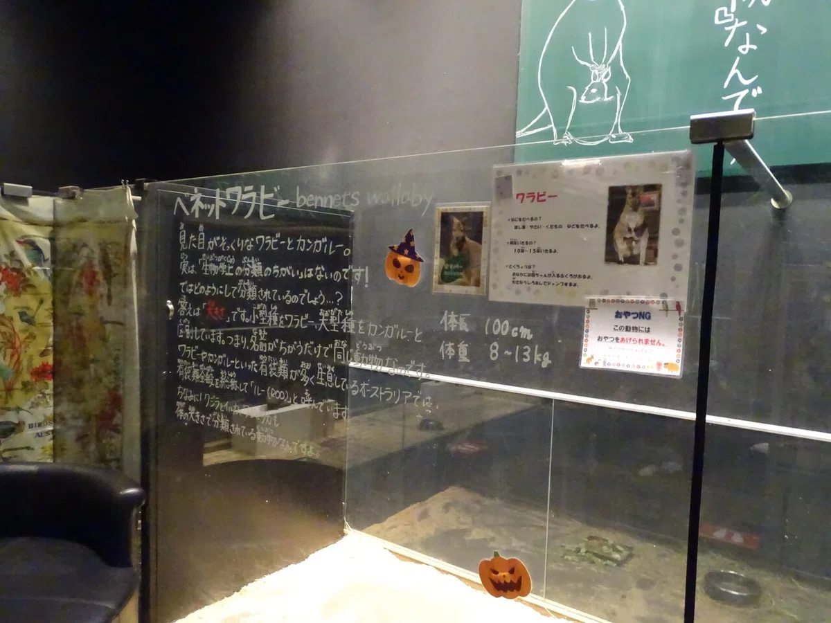 画像87