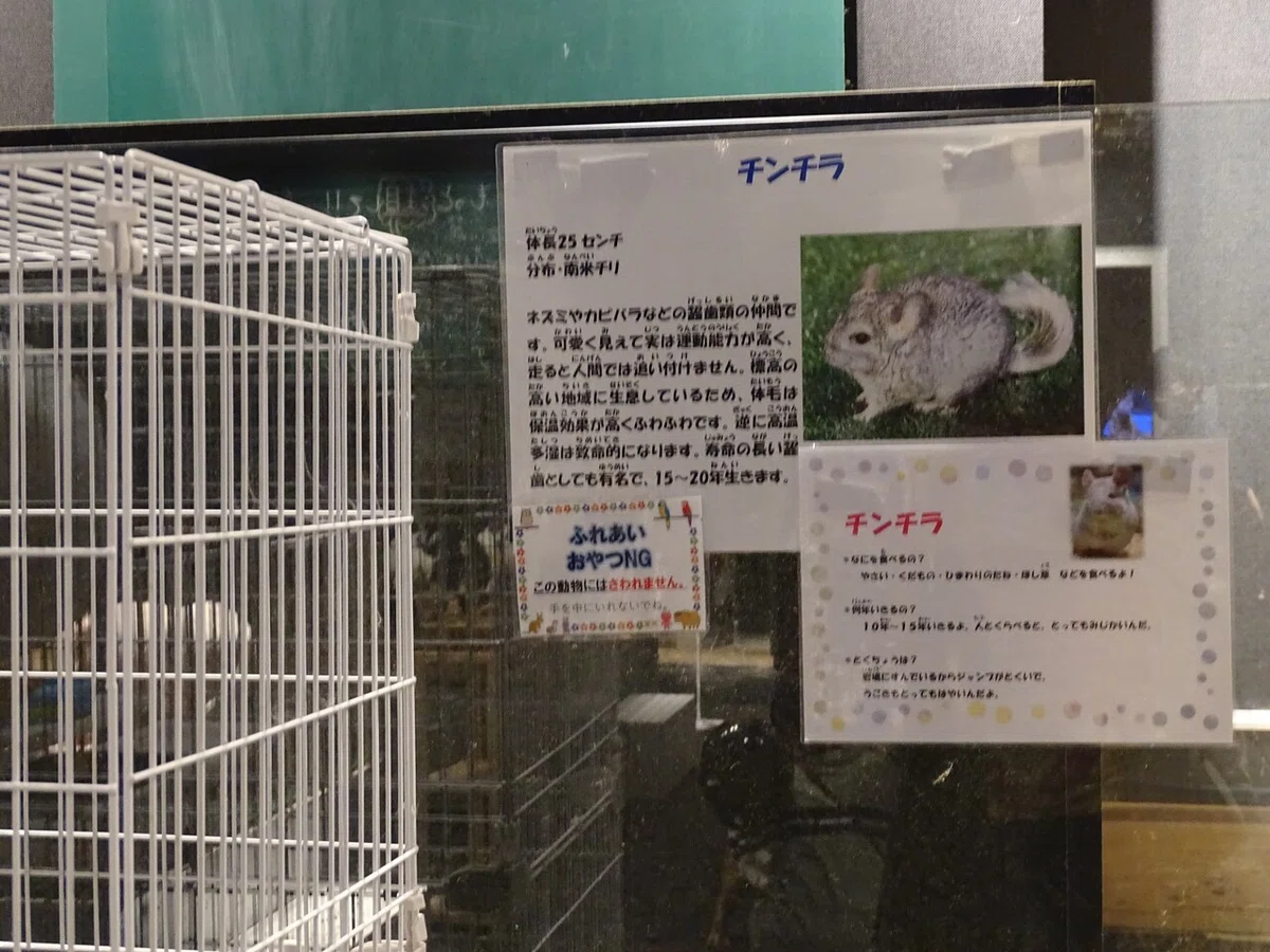 画像74