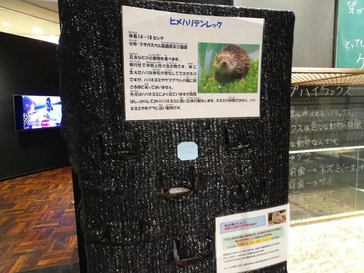 画像98