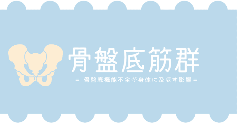 骨盤底筋群について知る〜骨盤底機能不全が体に及ぼす影響〜