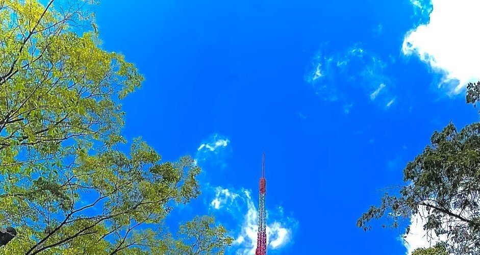 侵害予防調査と無効資料調査のノウハウ（はじめに～第1章）｜角渕由英