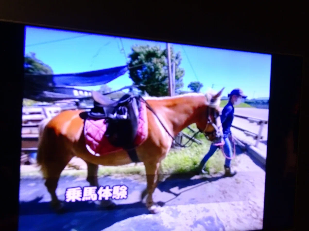 画像89