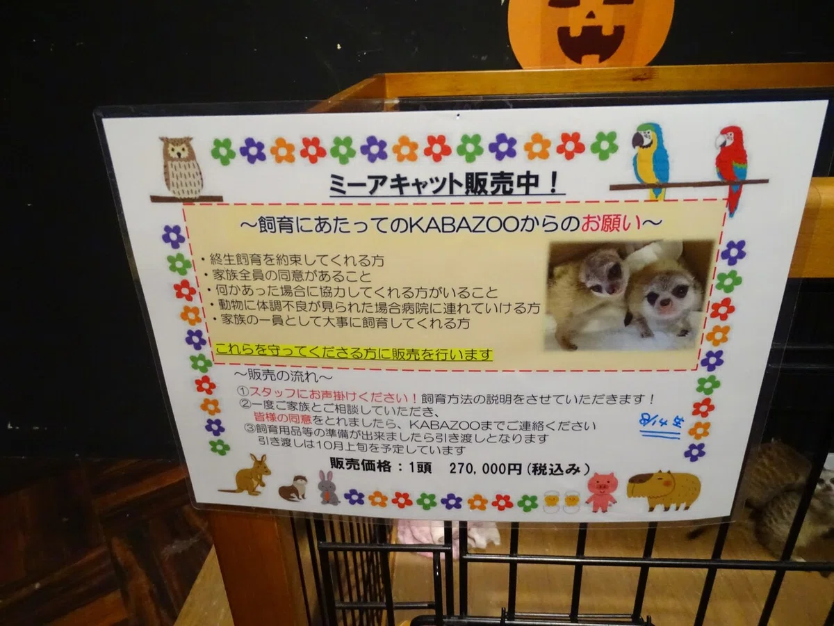 画像94