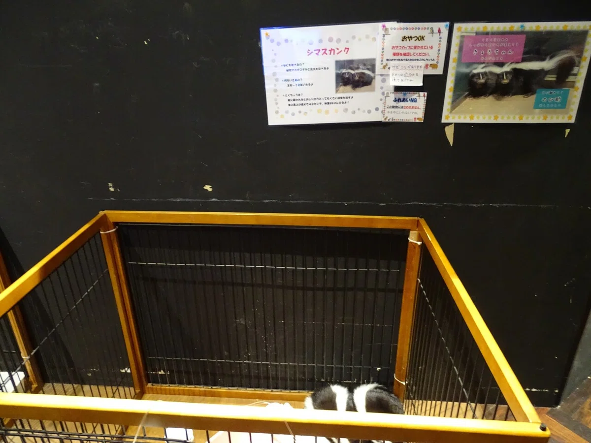 画像99