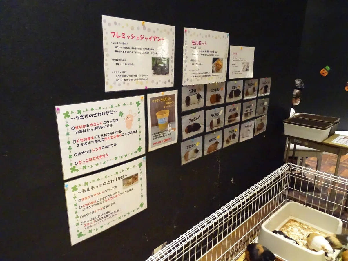 画像97