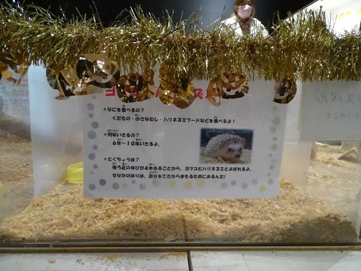 画像110