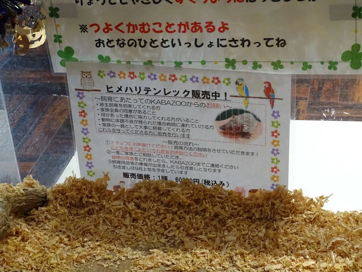 画像102